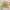 Graphic Long Sleeve Mustard Top Applique Patch Grunge Style  photo 1