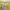 Graphic Long Sleeve Mustard Top Applique Patch Grunge Style  photo 3