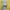 Graphic Long Sleeve Mustard Top Applique Patch Grunge Style  photo 4
