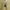 Graphic Long Sleeve Mustard Top Applique Patch Grunge Style  photo 8