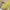 Graphic Long Sleeve Mustard Top Applique Patch Grunge Style  photo 10