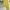 Graphic Long Sleeve Mustard Top Applique Patch Grunge Style  photo 5