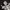 Y2K T-shirt Pria white black photo 2