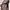 ARIAT Unbridled Rancher Western Cowboy Boots Made in Banglad photo 7