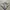 KEMEJA HAWAI VINTAGE COOKE STREET HAWAIIAN BOXY SHORT SLEVE photo 1