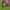 AC Milan Home 2015-16 Long Sleeve photo 4