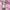 Desigual Robe Fantasie Noire Dress