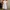 White foxxy dress photo 1