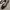 Aldo kitten heels ankle strap photo 2