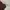 THISISNEVERTHAT DARK BROWN PANTS  photo 1