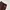 THISISNEVERTHAT DARK BROWN PANTS  photo 3