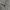 Uniqlo blouson canvas work jacket not carhartt photo 5