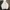 Columbia Titanium Softshell Outdoor Jacket Original photo 5