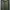 Adidas Sportswear Sweater Pria multicolor green photo 1