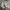 Billabong Streetwear Y2K Jeans Pria multicolor photo 2