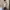 Lovet SG Ribbed Cami Crop Top Off White Premium photo 2