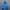 Puffer jacket champion photo 2
