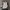 Timberland Backpack Authentic  photo 2