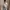 Young Hungry Free Singapore White Crop Top Basic photo 2
