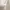 Young Hungry Free Singapore White Crop Top Basic photo 4