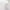 Young Hungry Free Singapore White Crop Top Basic photo 5