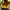Nike Flex Runner 2 Kids Barely Volt Original photo 7