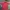 Adidas Streetwear Y2K T-shirt Pria red photo 1