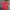 Adidas Streetwear Y2K T-shirt Pria Red