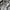 Carhartt Streetwear T-shirt Pria gray photo 3