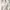 Love Bonito White Wrap Top S UK8 | Office Clean Girl photo 1