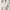Love Bonito White Wrap Top S UK8 | Office Clean Girl