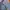 INSIGHT SURFING SKATEBOARDING STREETWEAR COLOR BLOCK LONG SL photo 5
