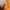 DREAMWORKS ANIMATION FELIX cr2018 photo 6