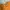 DREAMWORKS ANIMATION FELIX cr2018 photo 4