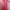 Dress Tutu Pink Kids HnM (new) photo 1