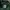 Carhartt Streetwear T-shirt Pria green photo 3