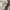 Carhartt Streetwear Hoody Pria white photo 5