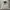 Carhartt Streetwear Hoody Pria white photo 2