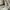 Carhartt Streetwear Hoody Pria white photo 3