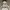 Carhartt Streetwear Hoody Pria white photo 1