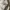 Carhartt Streetwear Hoody Pria white photo 6