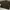 Unknown Boxy Canvas workjacket Brown photo 5