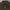 Unknown Boxy Canvas workjacket Brown photo 6