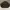 Unknown Boxy Canvas workjacket Brown photo 4