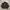 Balmain Paris Monogram Quilted Jacket Dark Brown Luxury photo 1