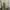 Polo Ralph Lauren Vintage Casual Going out dress Wanita gold photo 3
