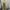 Polo Ralph Lauren Vintage Casual Going out dress Wanita gold photo 2