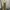 Polo Ralph Lauren Vintage Casual Going Out Dress Wanita Gold