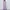 ZARA Minimalist Casual Blouse Wanita purple photo 3