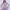 ZARA Minimalist Casual Blouse Wanita purple photo 2